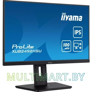 Монитор Iiyama ProLite XUB2492HSU-B6 картинка 3